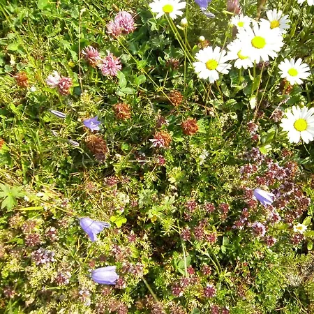 Apartmán Mosenbauer Salzburg