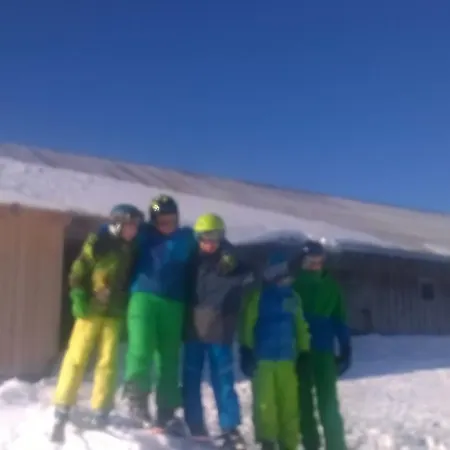 موزنباور فيرينفوهنونغ سالزبورغ *