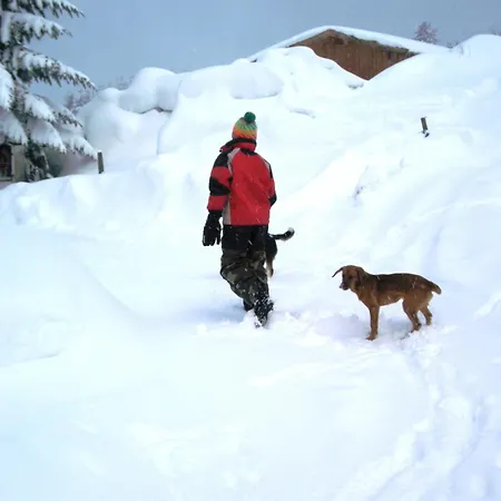 Apartmán Mosenbauer Salzburg Mittersill