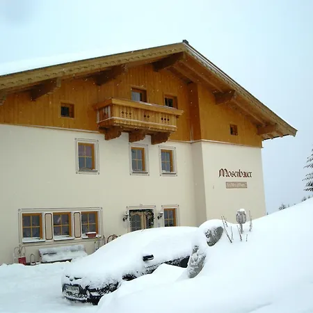 Mosenbauer Salzburg Apartmán