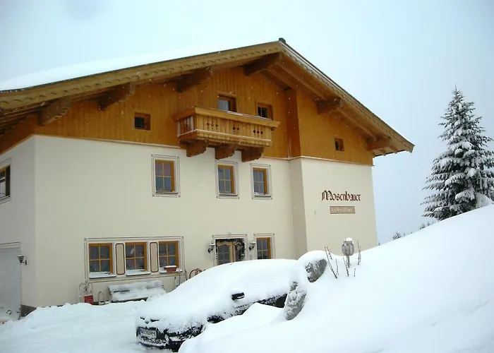 Mosenbauer Salzburg 公寓